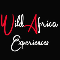 Wild Africa Experiences